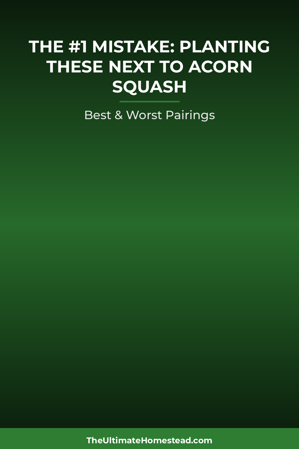 Acorn Squash Planting Guide