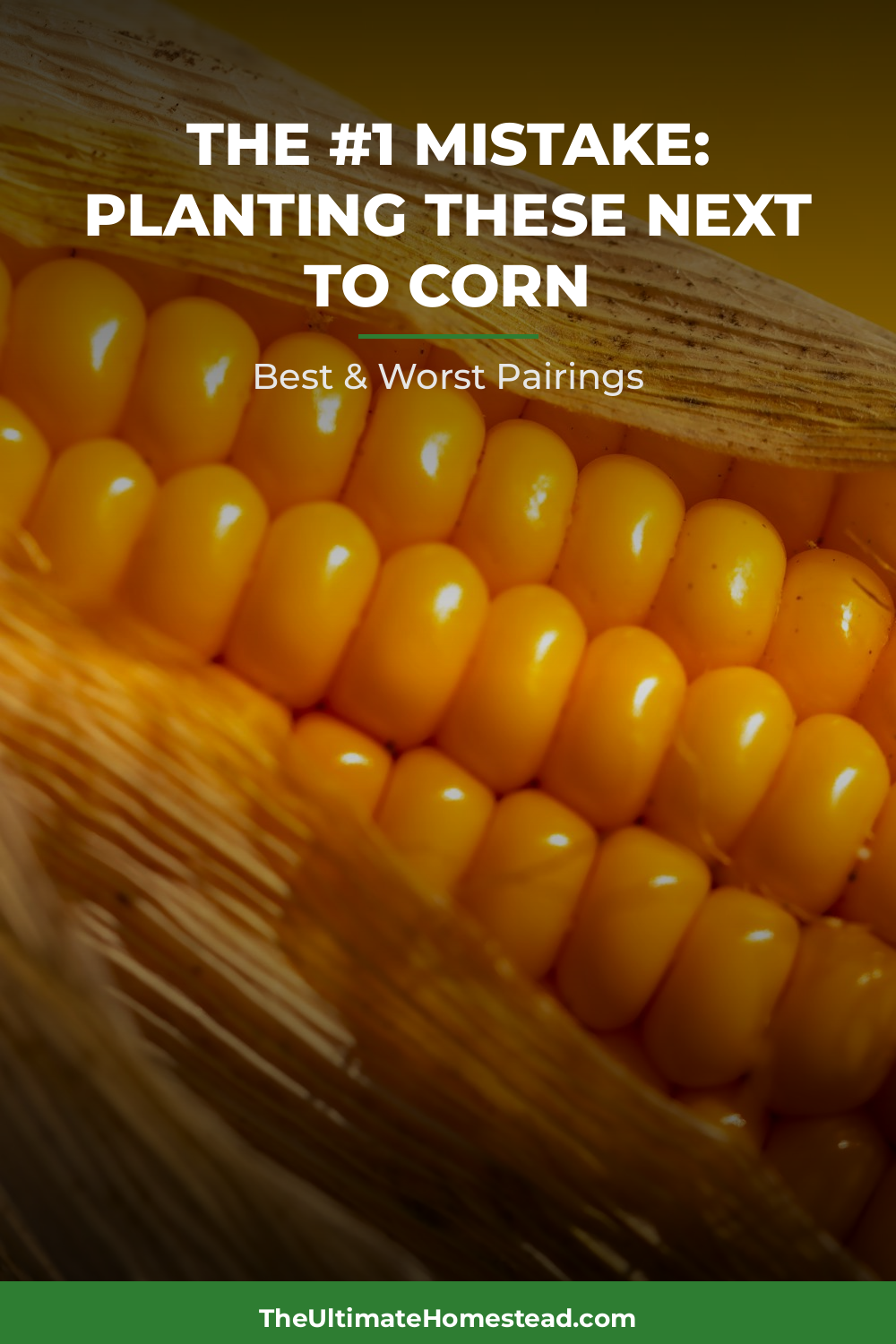 Corn Planting Guide