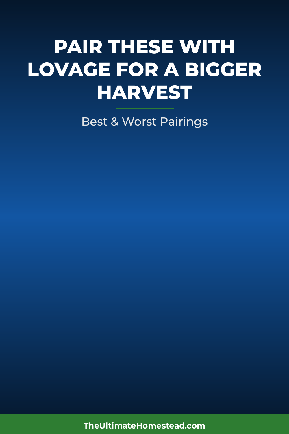 Lovage Planting Guide