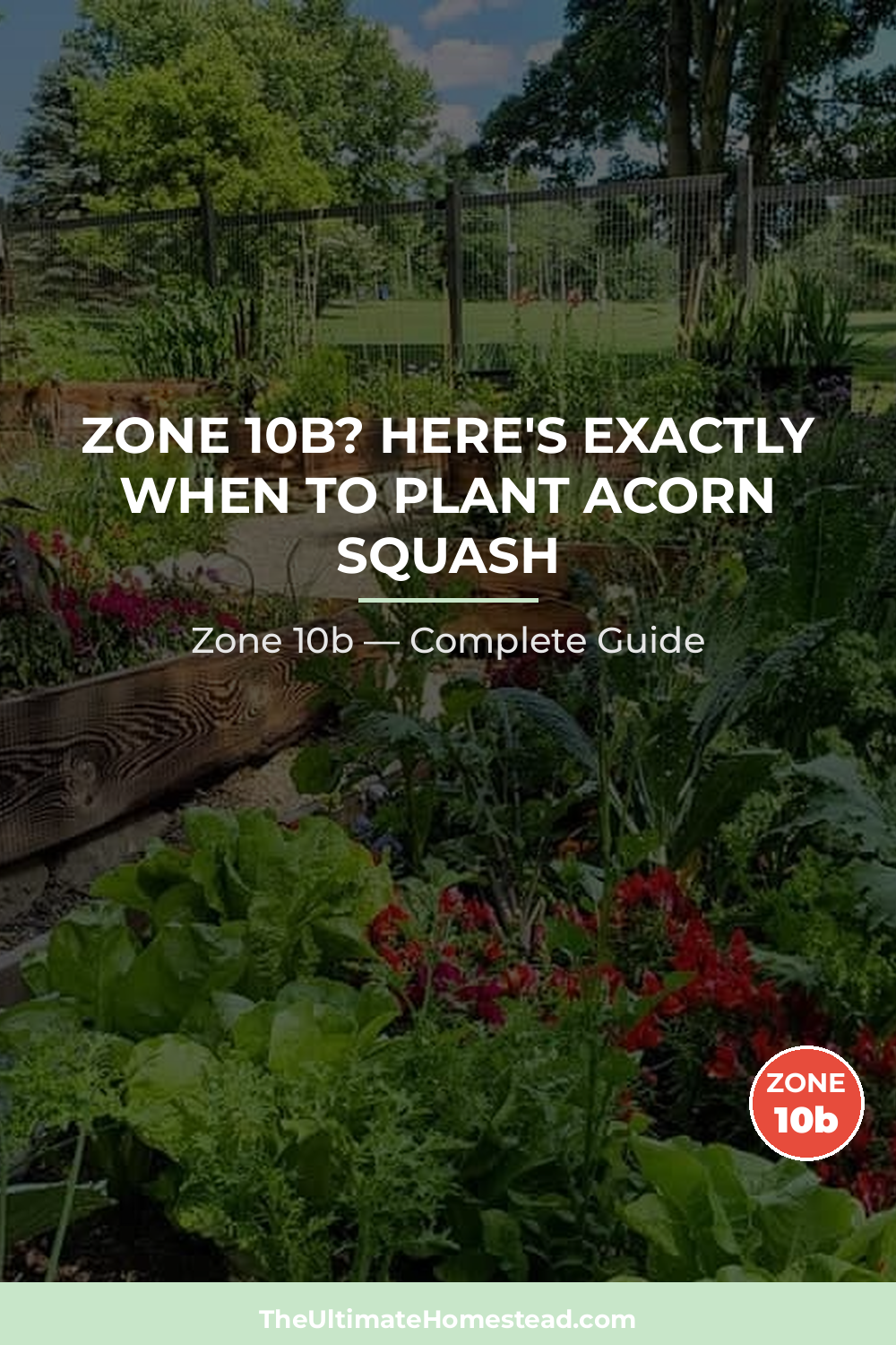 When to Plant Acorn Squash in Zone 10b