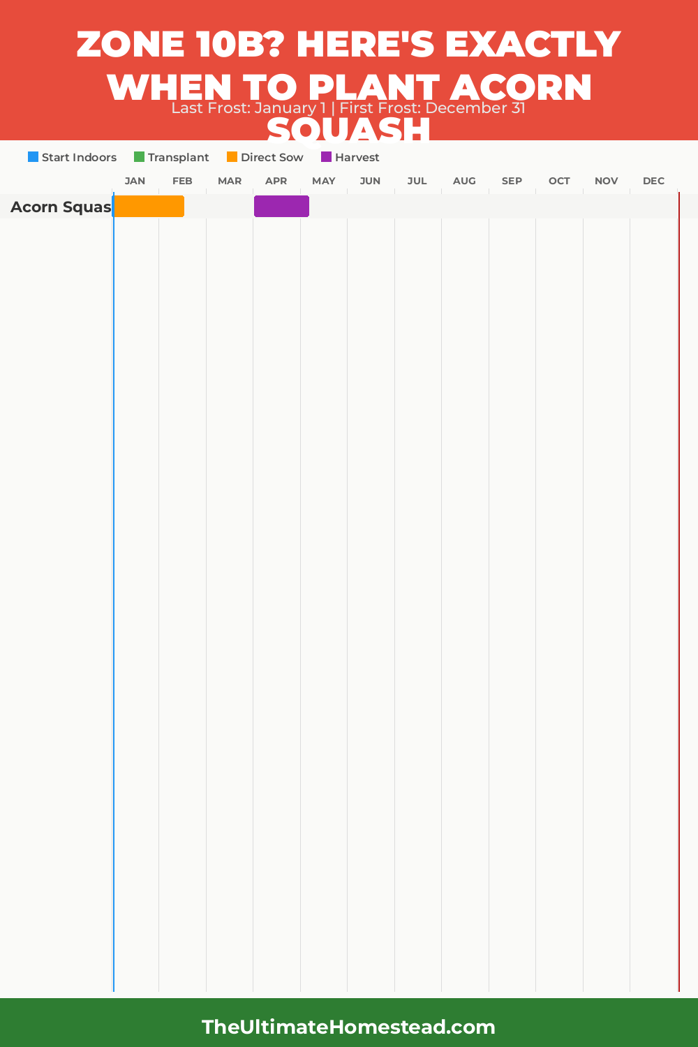 When to Plant Acorn Squash in Zone 10b