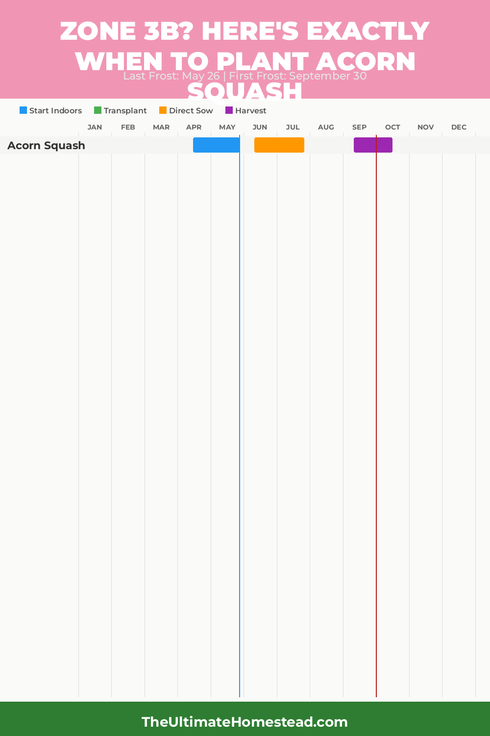When to Plant Acorn Squash in Zone 3b
