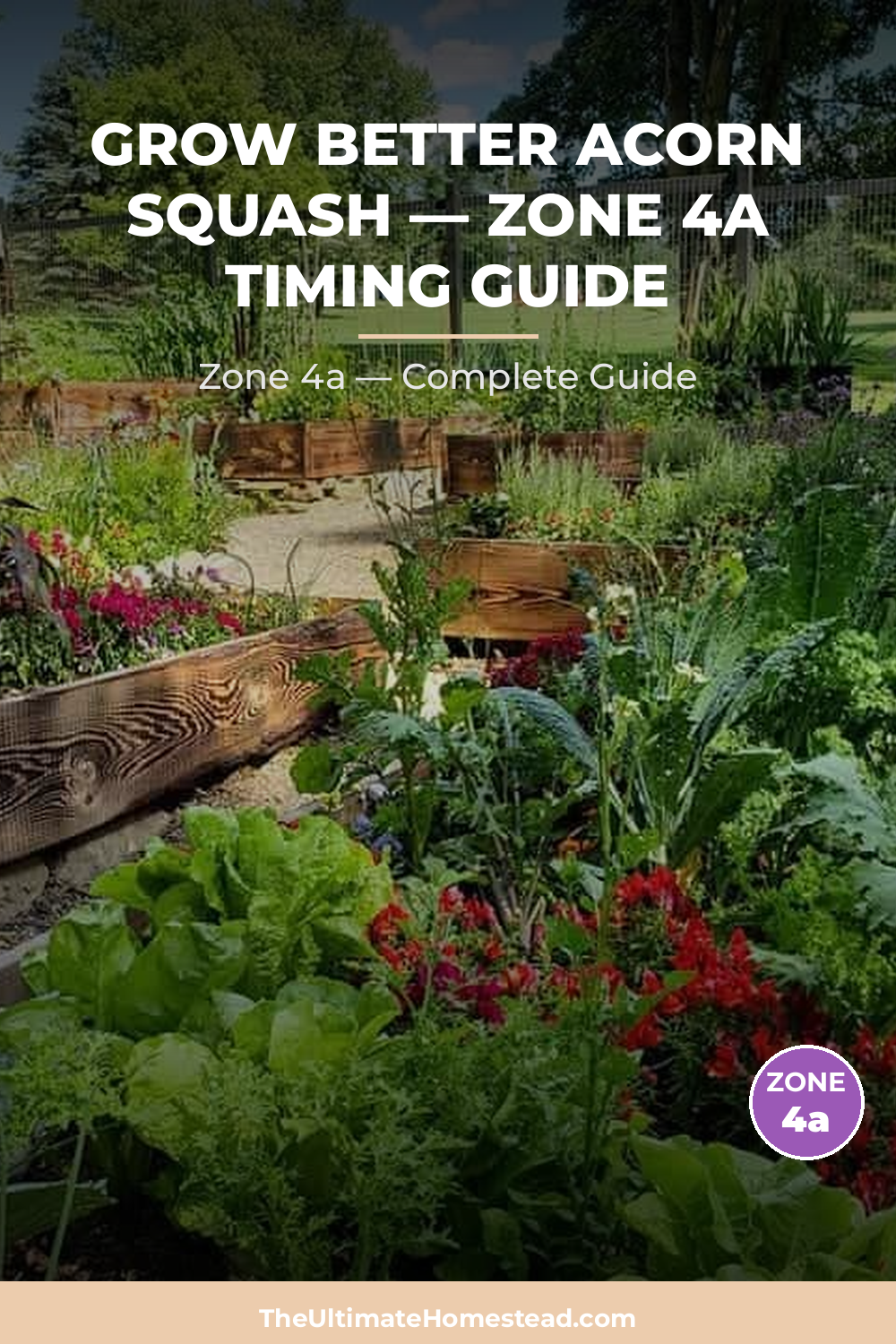 When to Plant Acorn Squash in Zone 4a