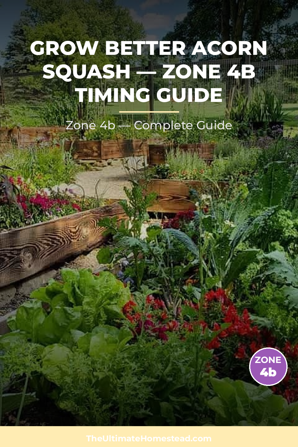 When to Plant Acorn Squash in Zone 4b