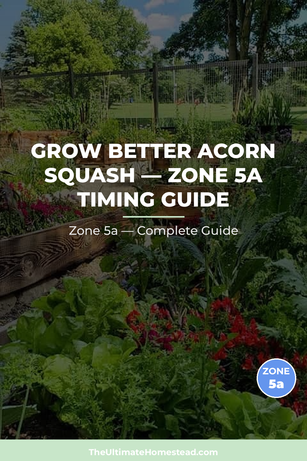When to Plant Acorn Squash in Zone 5a