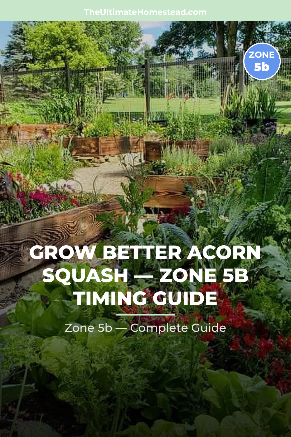 When to Plant Acorn Squash in Zone 5b