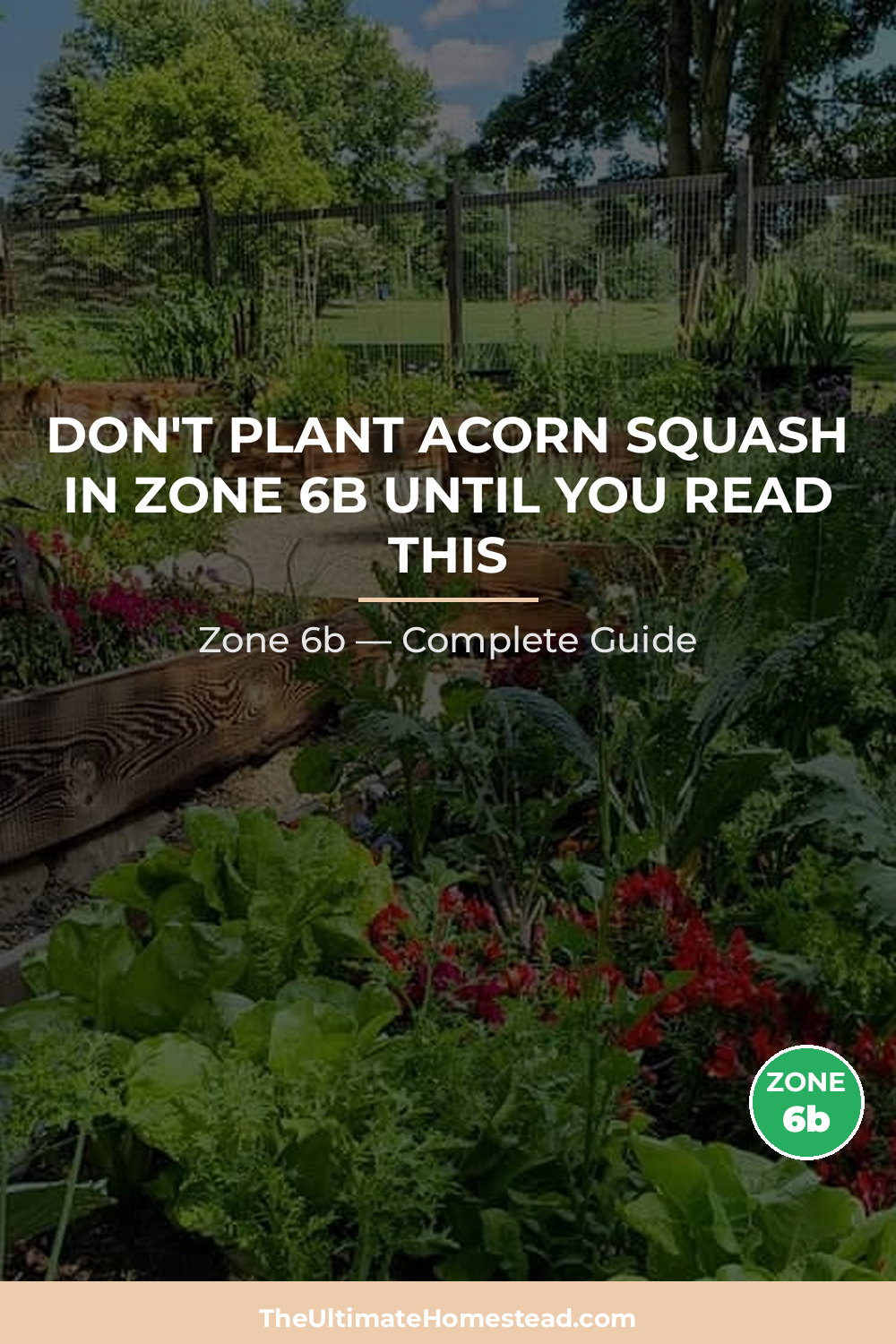 When to Plant Acorn Squash in Zone 6b