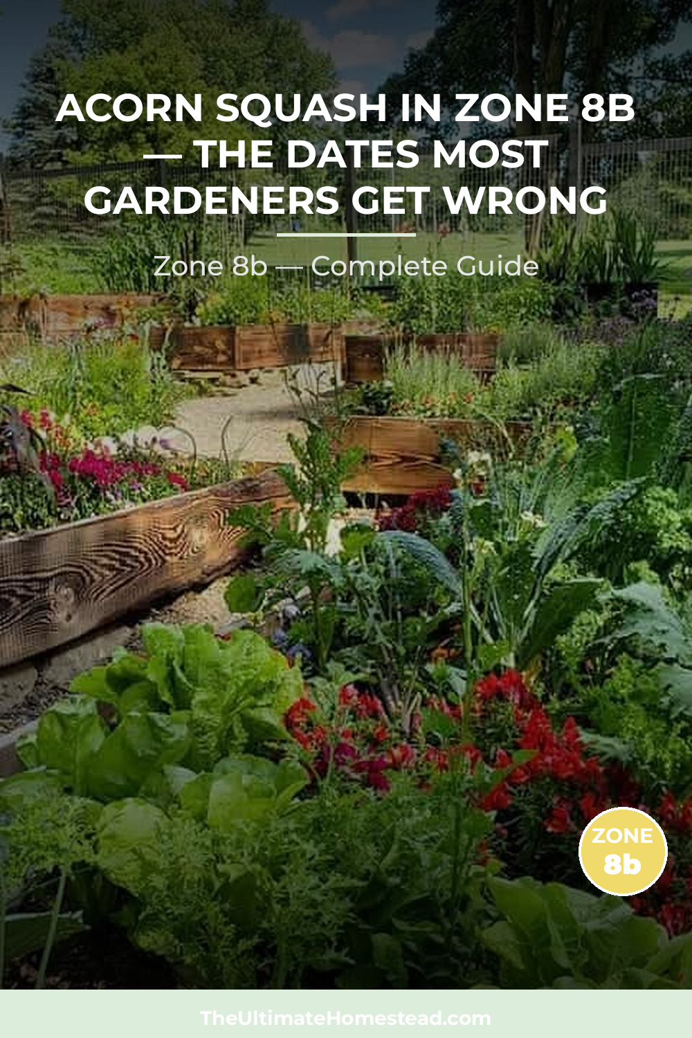 When to Plant Acorn Squash in Zone 8b