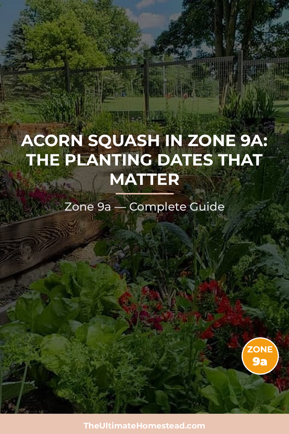 When to Plant Acorn Squash in Zone 9a