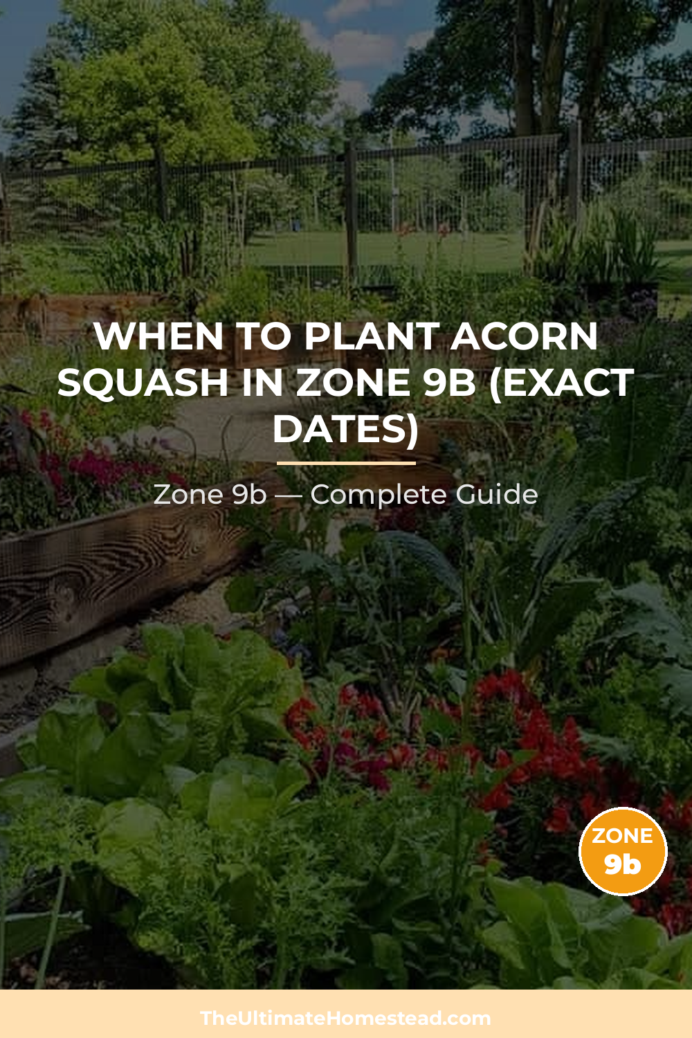 When to Plant Acorn Squash in Zone 9b
