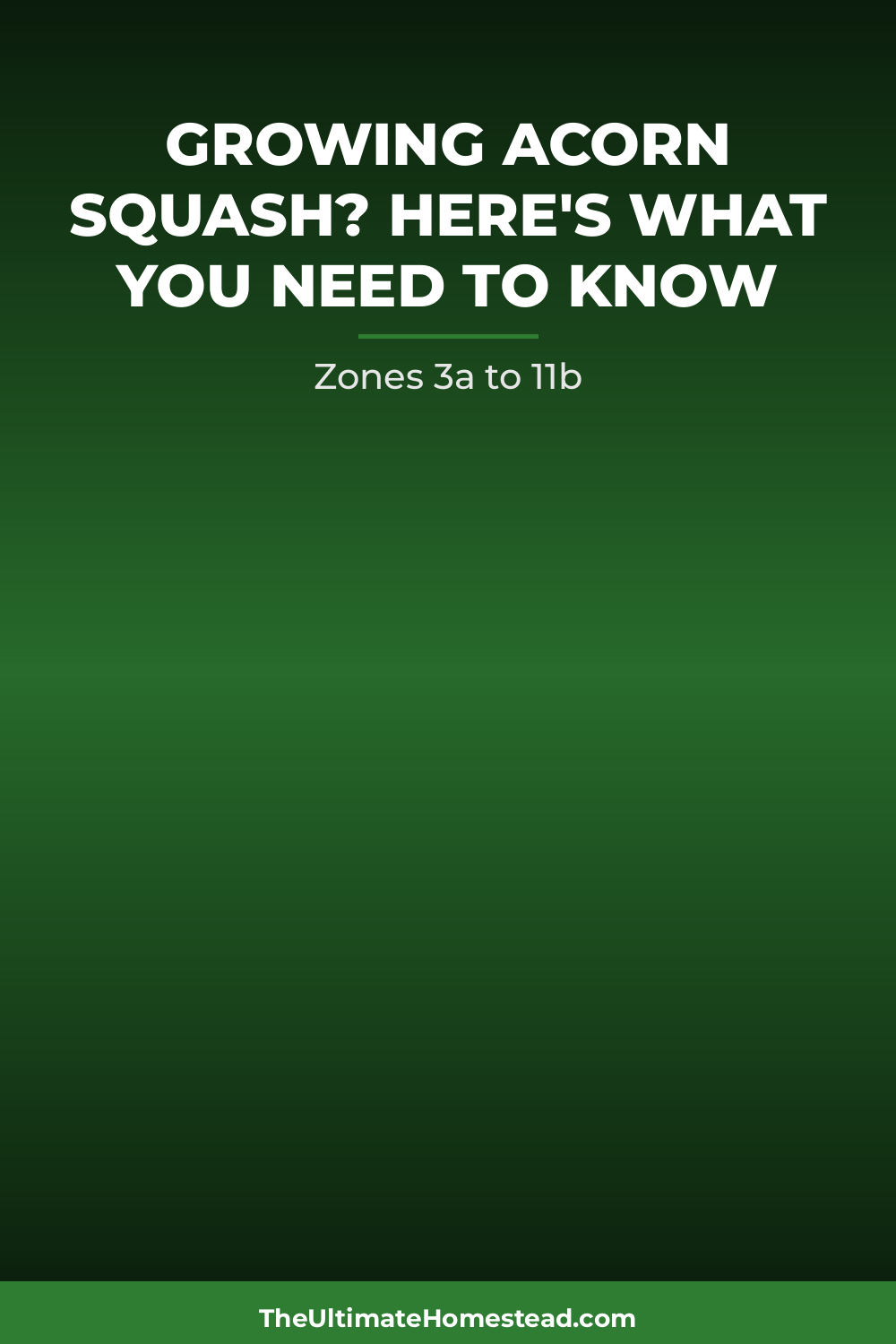 Acorn Squash Planting Guide