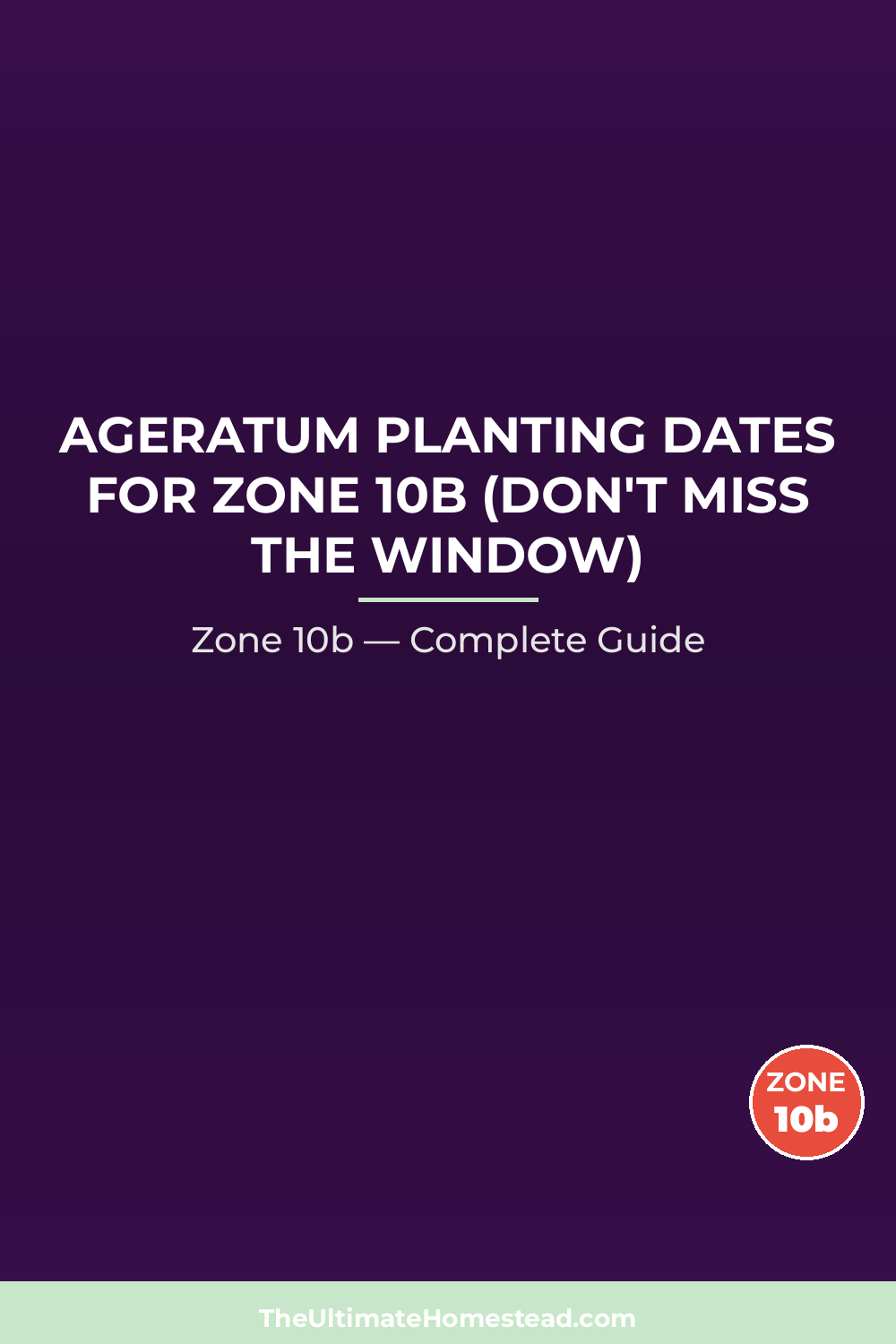 When to Plant Ageratum in Zone 10b