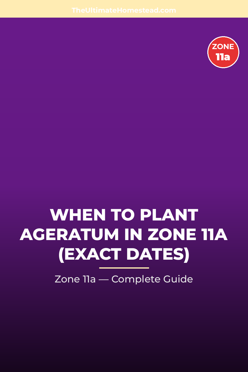 When to Plant Ageratum in Zone 11a