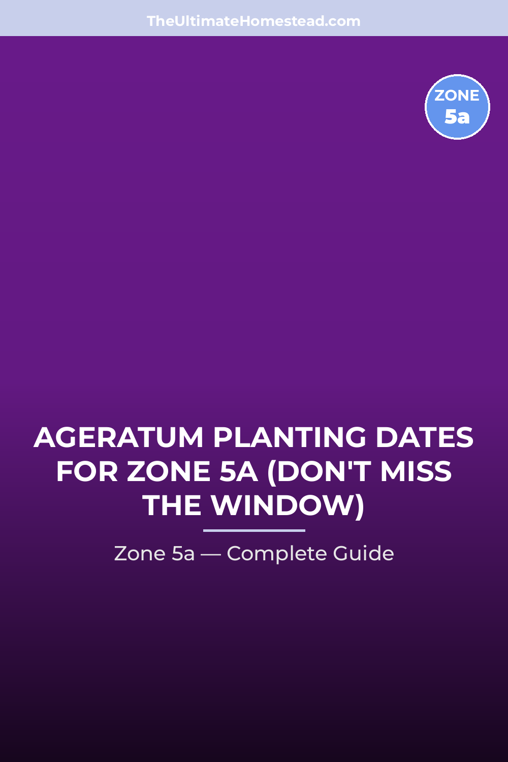 When to Plant Ageratum in Zone 5a