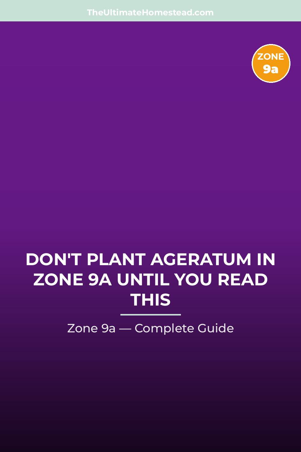 When to Plant Ageratum in Zone 9a