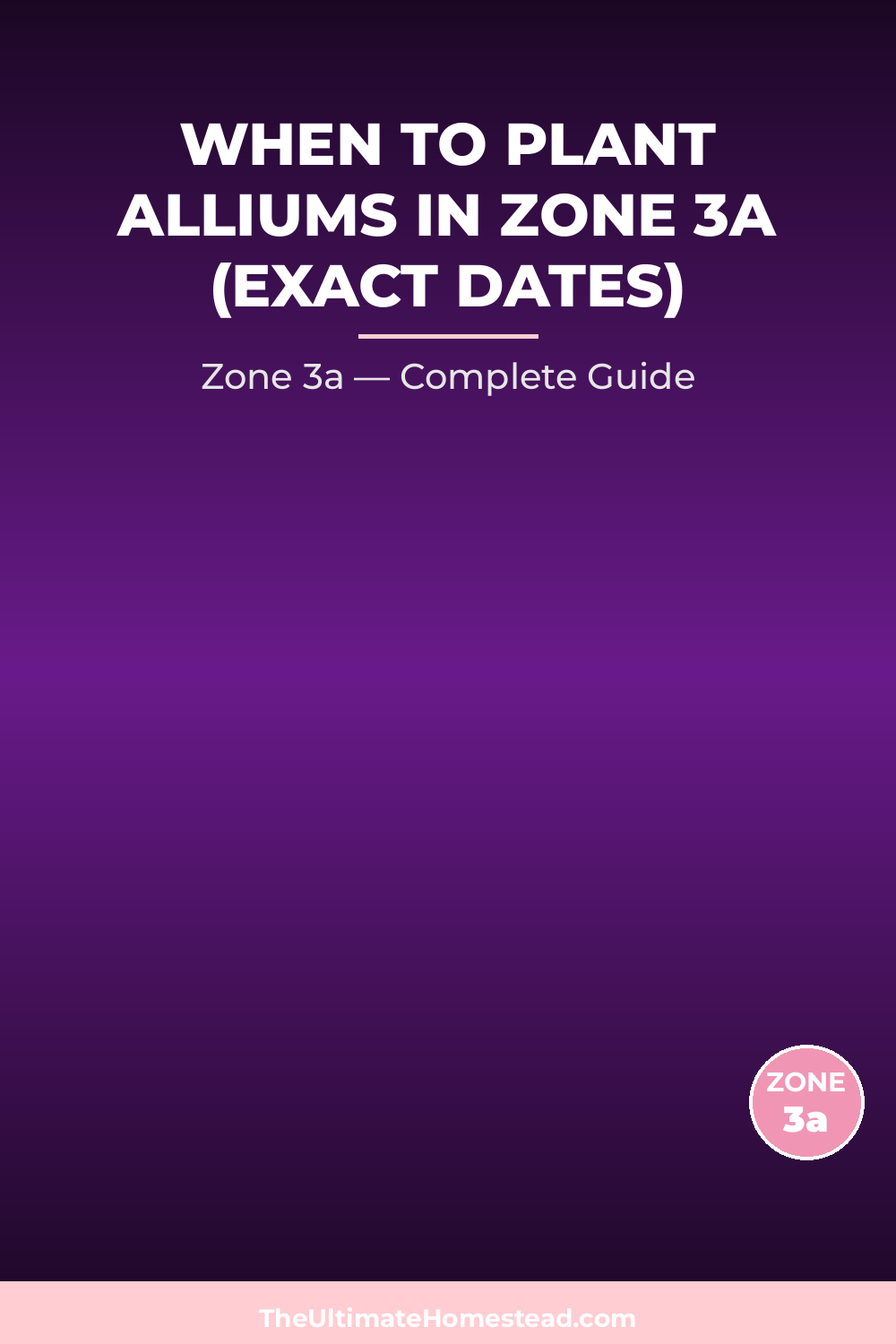 When to Plant Alliums in Zone 3a