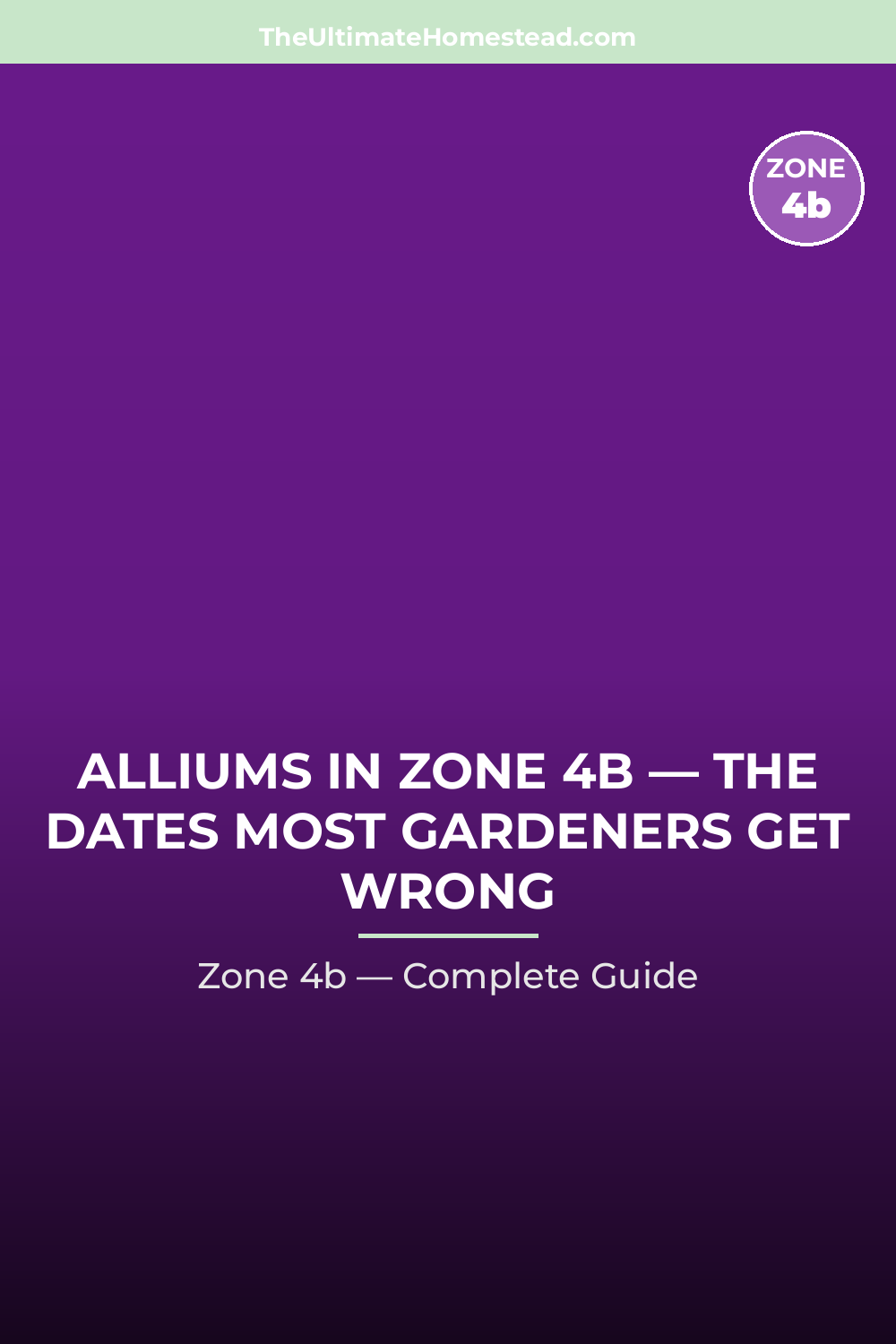 When to Plant Alliums in Zone 4b
