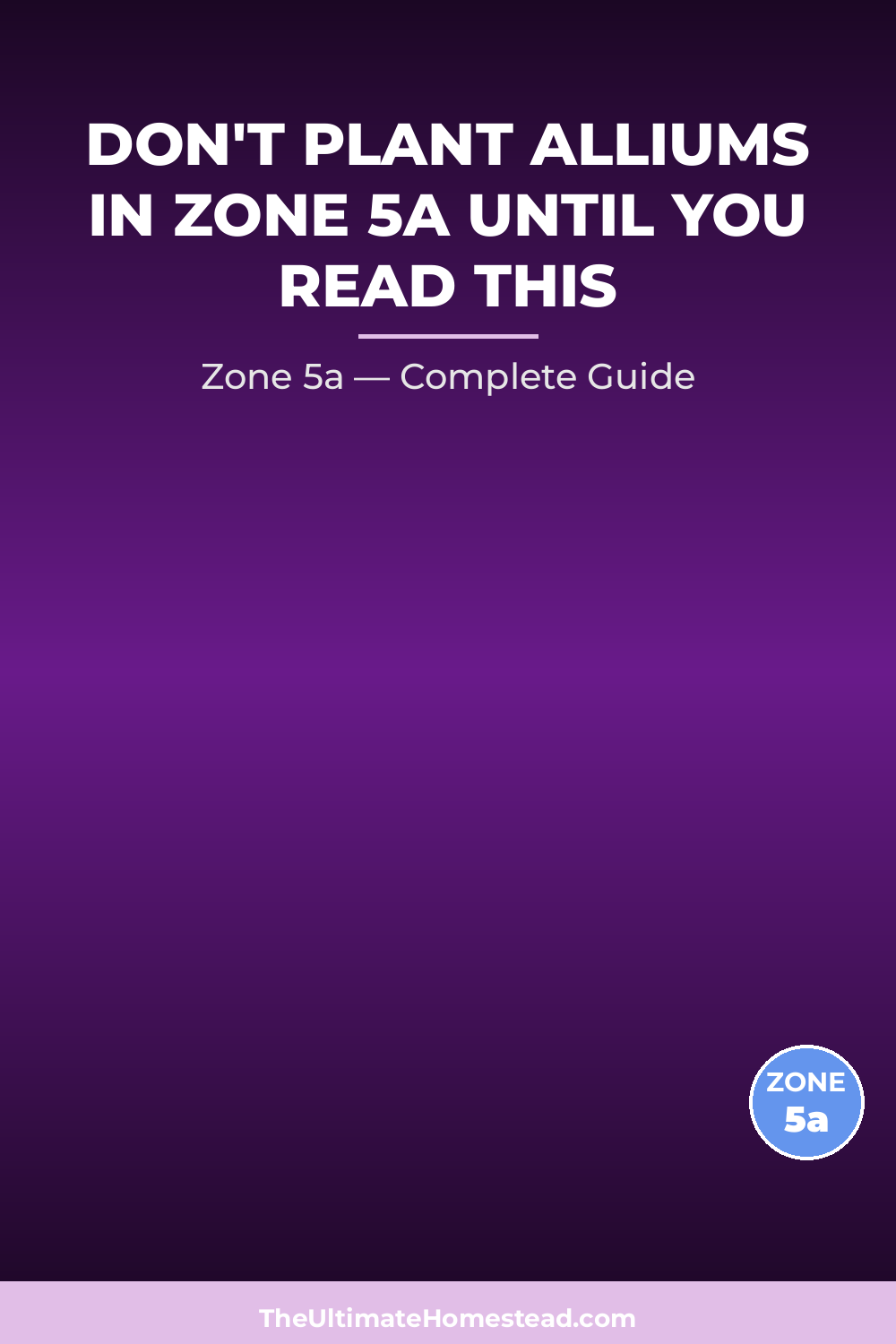 When to Plant Alliums in Zone 5a
