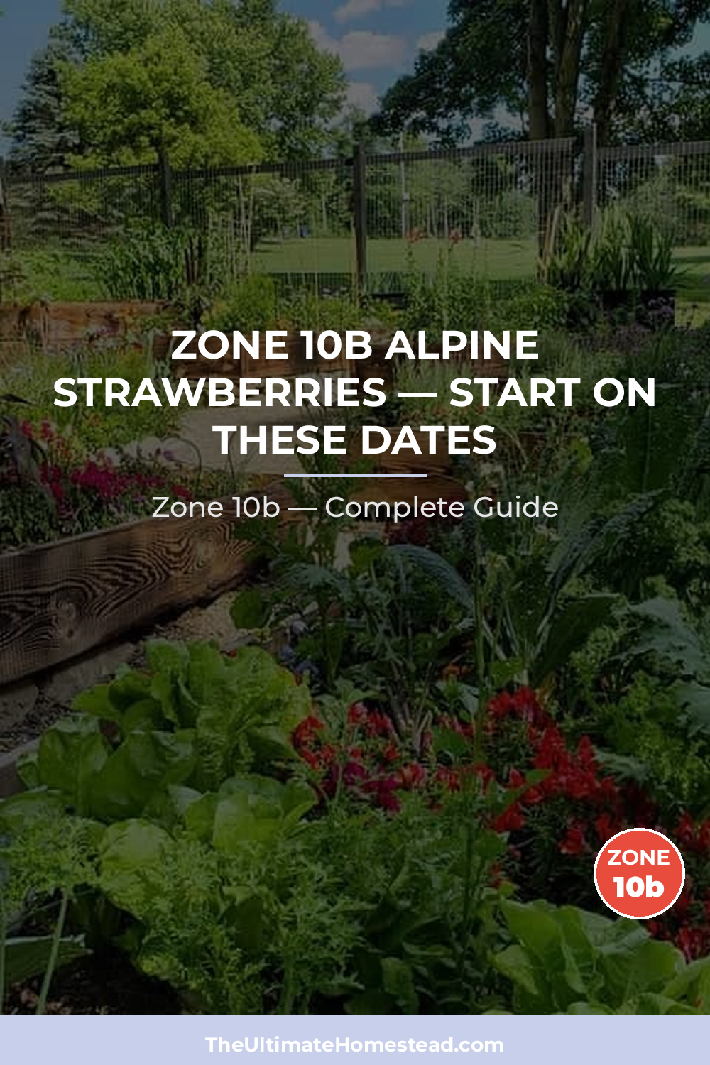 When to Plant Alpine Strawberries in Zone 10b