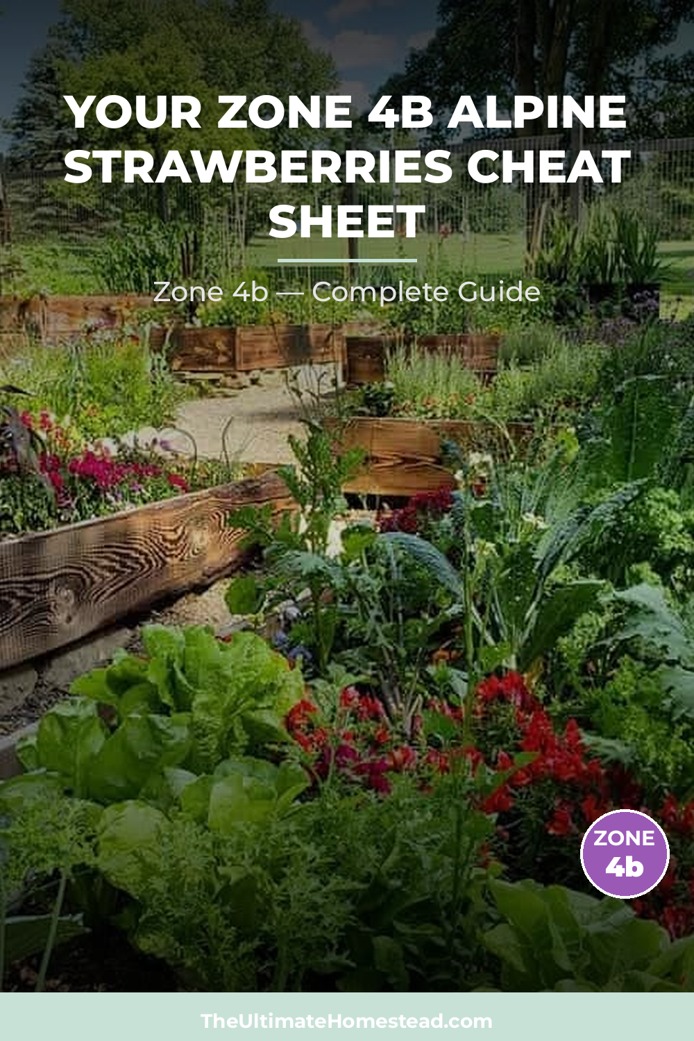 When to Plant Alpine Strawberries in Zone 4b