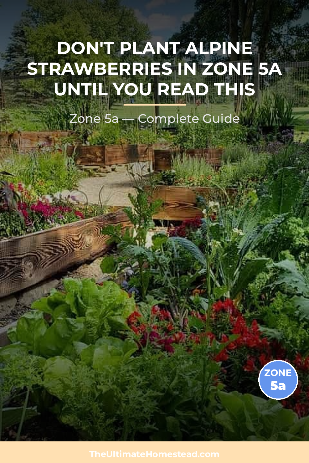 When to Plant Alpine Strawberries in Zone 5a