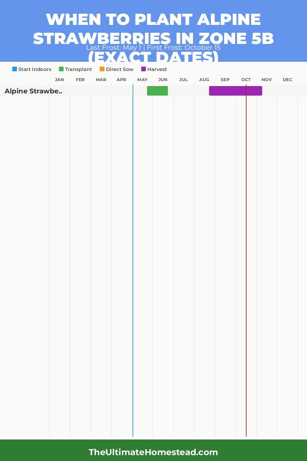 When to Plant Alpine Strawberries in Zone 5b