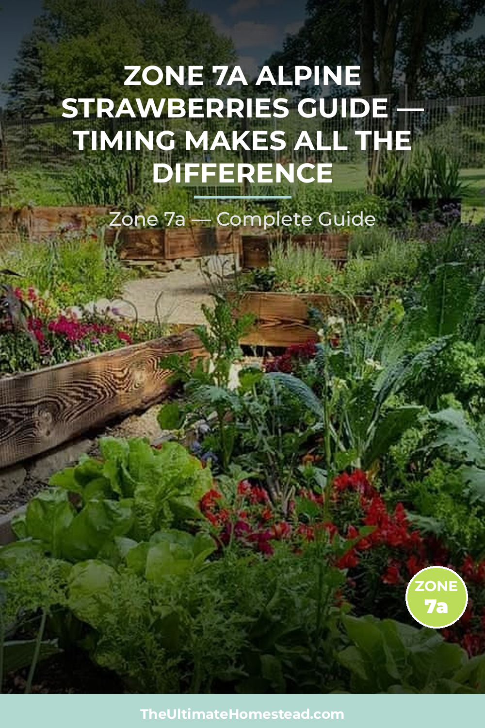 When to Plant Alpine Strawberries in Zone 7a
