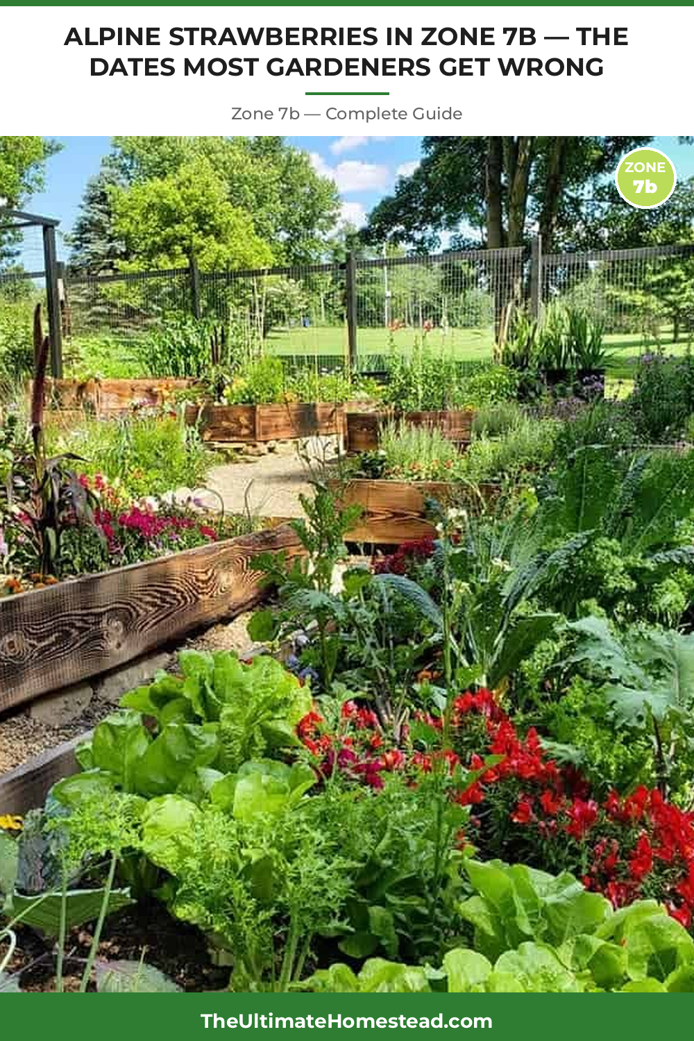 When to Plant Alpine Strawberries in Zone 7b