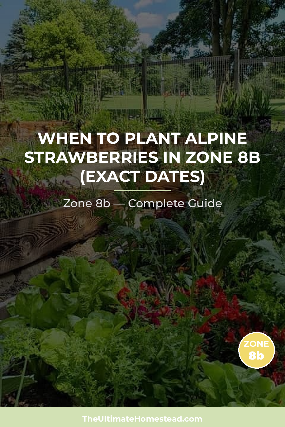 When to Plant Alpine Strawberries in Zone 8b