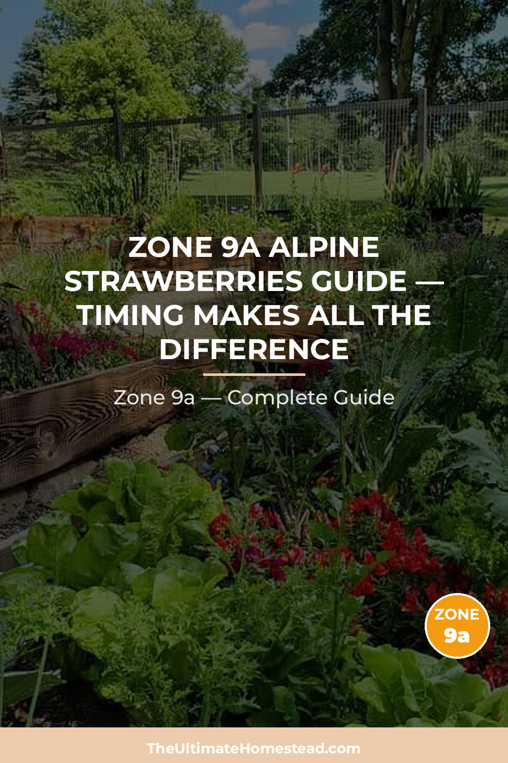 When to Plant Alpine Strawberries in Zone 9a