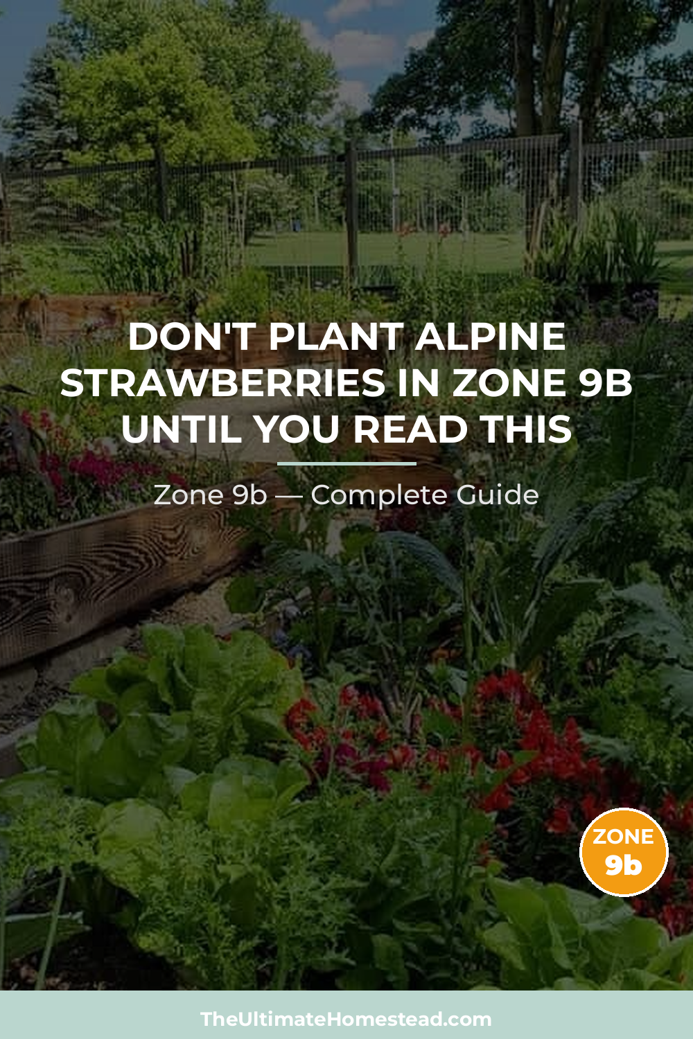When to Plant Alpine Strawberries in Zone 9b