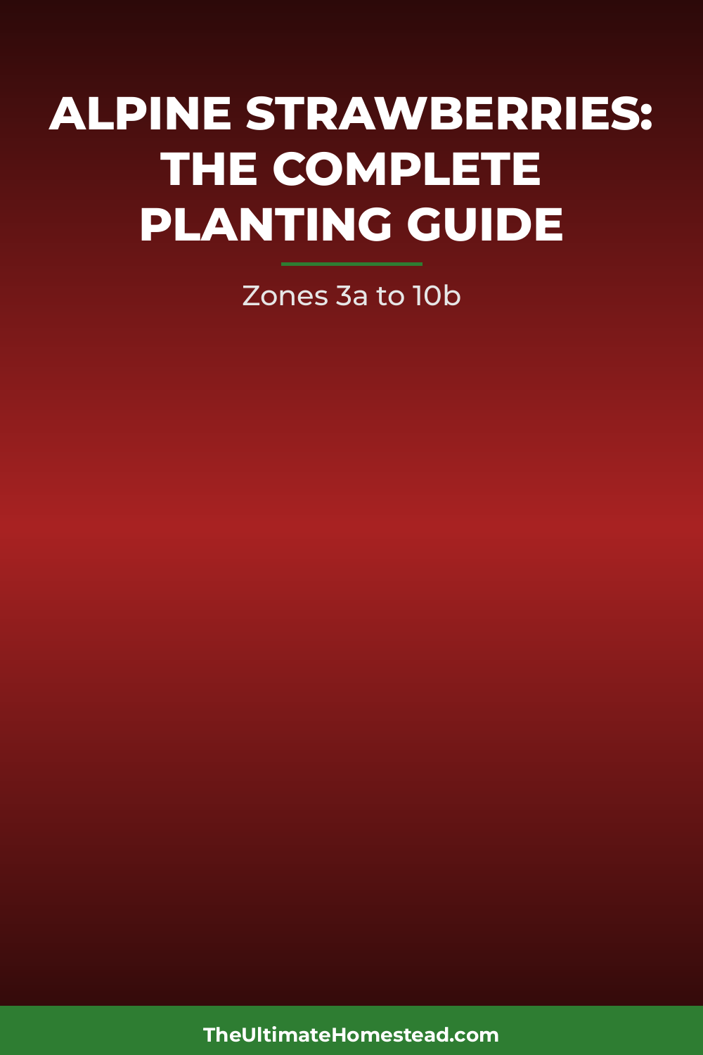 Alpine Strawberries Planting Guide