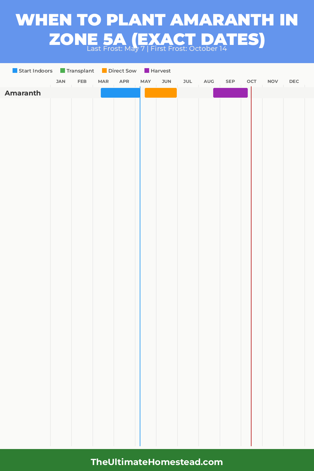 When to Plant Amaranth in Zone 5a