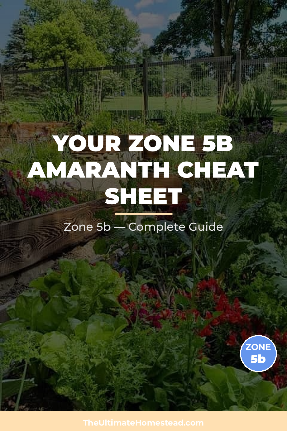 When to Plant Amaranth in Zone 5b