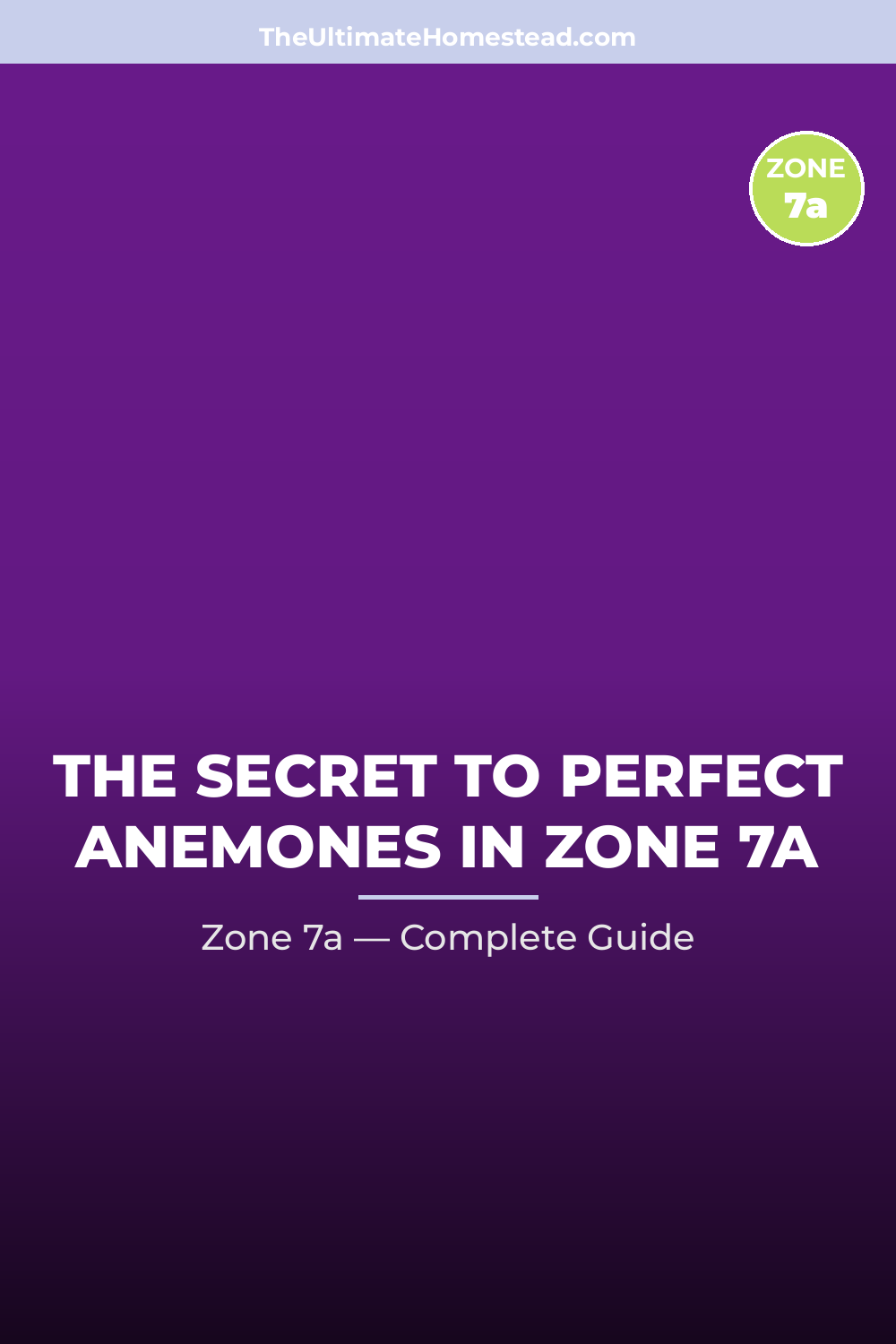 When to Plant Anemones in Zone 7a
