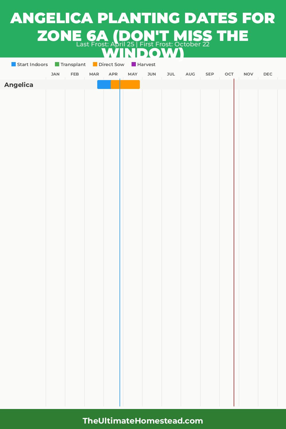 When to Plant Angelica in Zone 6a