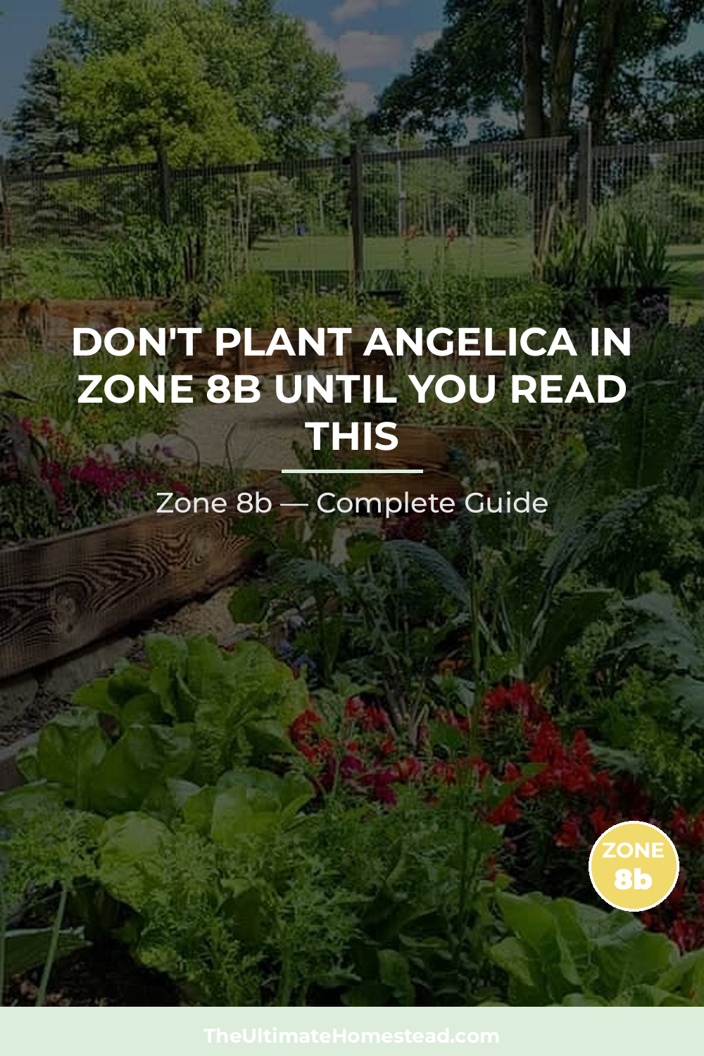 When to Plant Angelica in Zone 8b