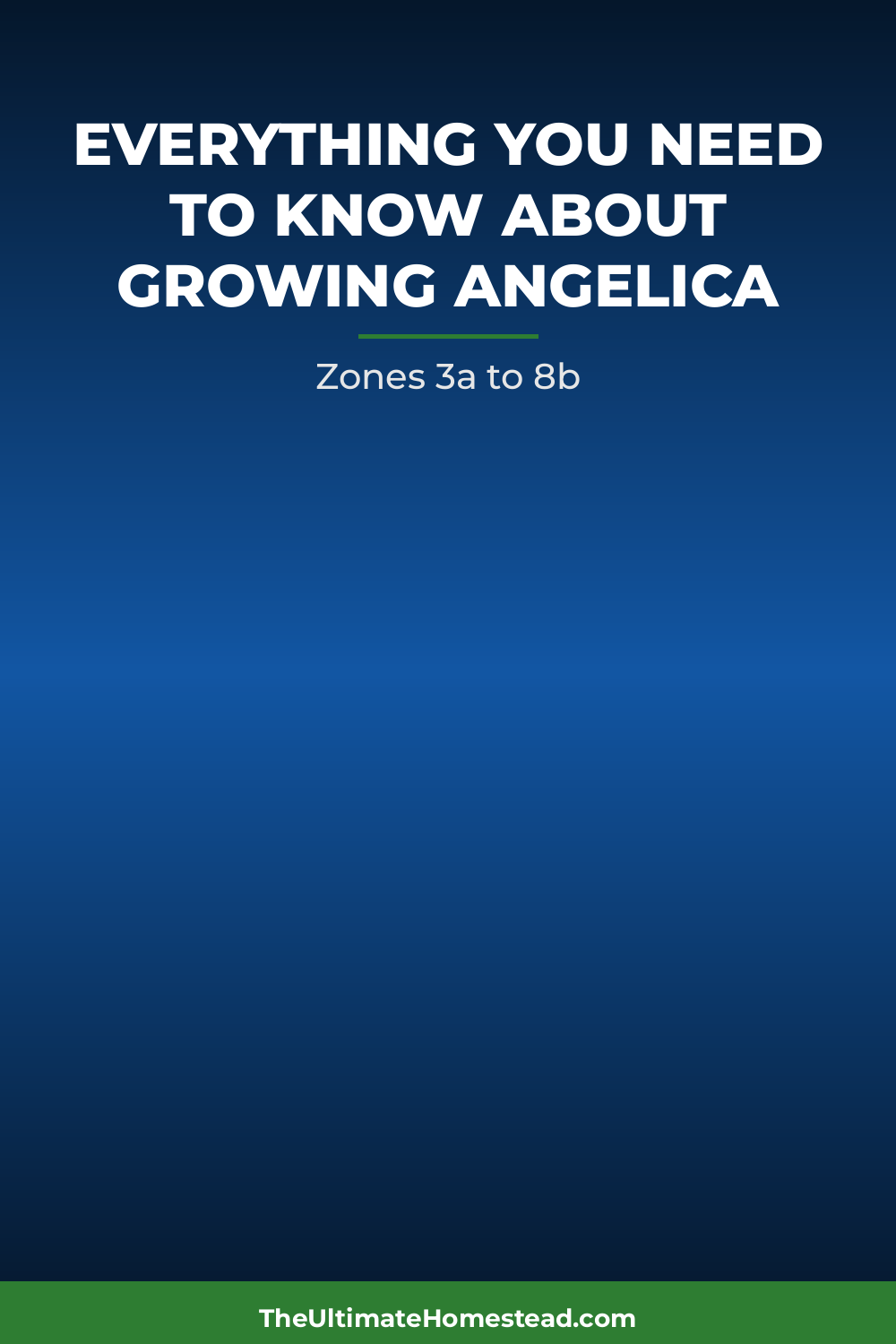 Angelica Planting Guide