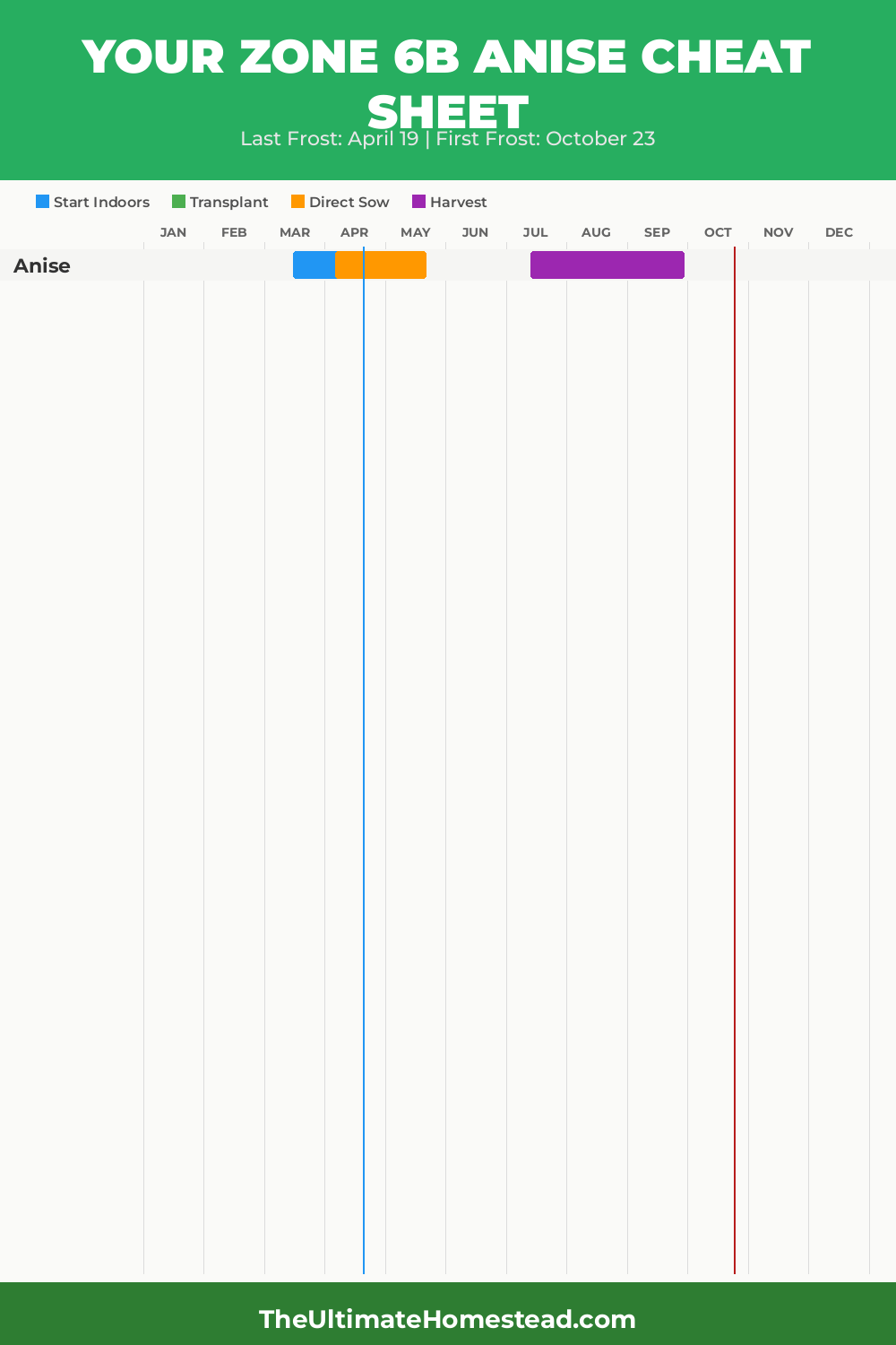 When to Plant Anise in Zone 6b