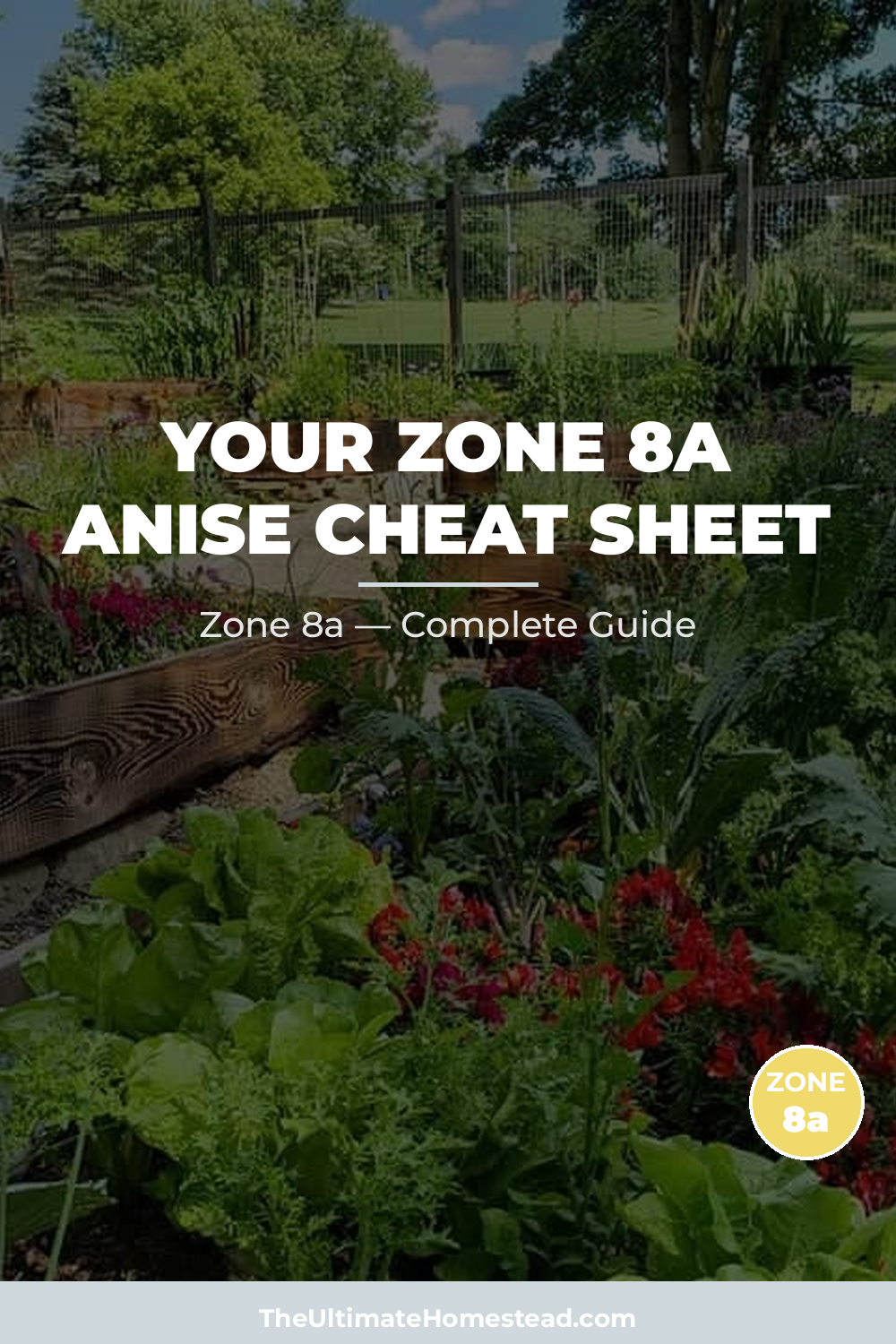 When to Plant Anise in Zone 8a