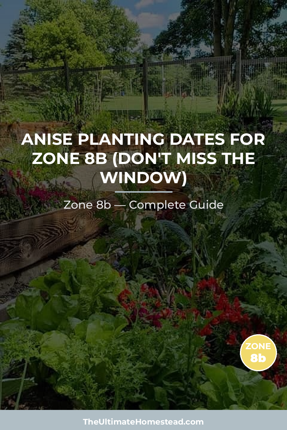 When to Plant Anise in Zone 8b