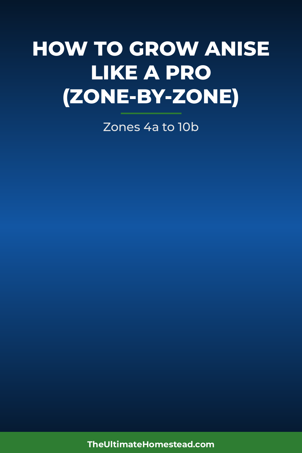 Anise Planting Guide