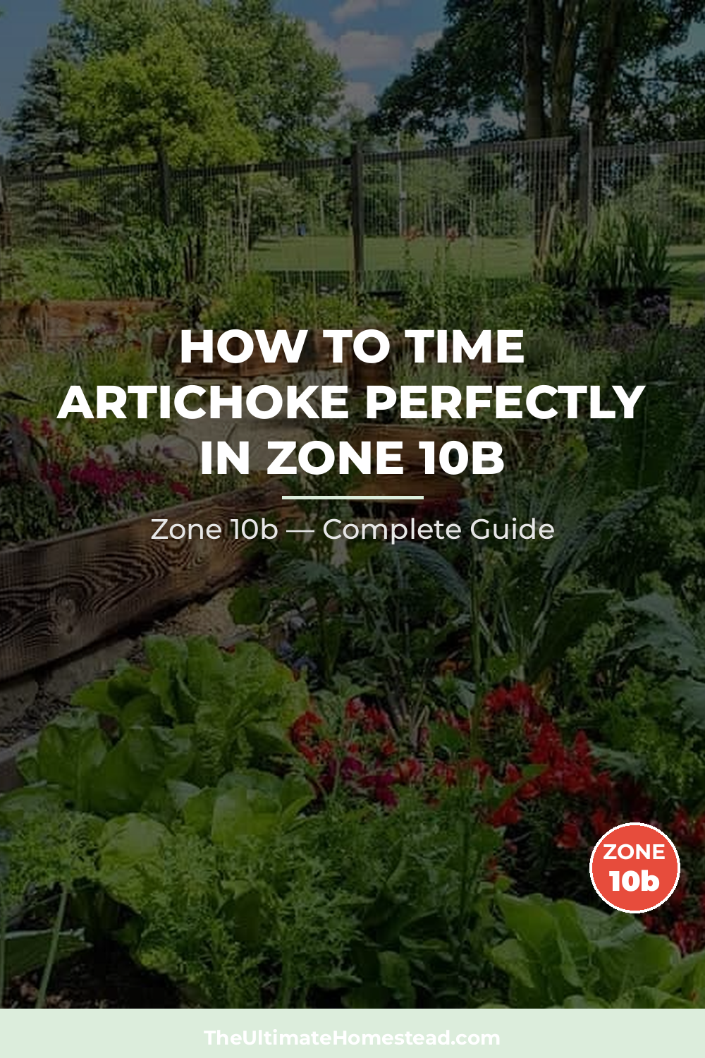 When to Plant Artichoke in Zone 10b
