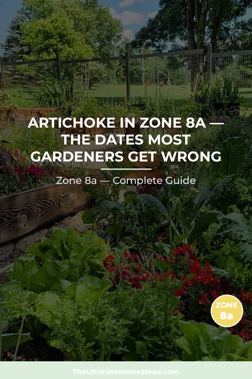 When to Plant Artichoke in Zone 8a
