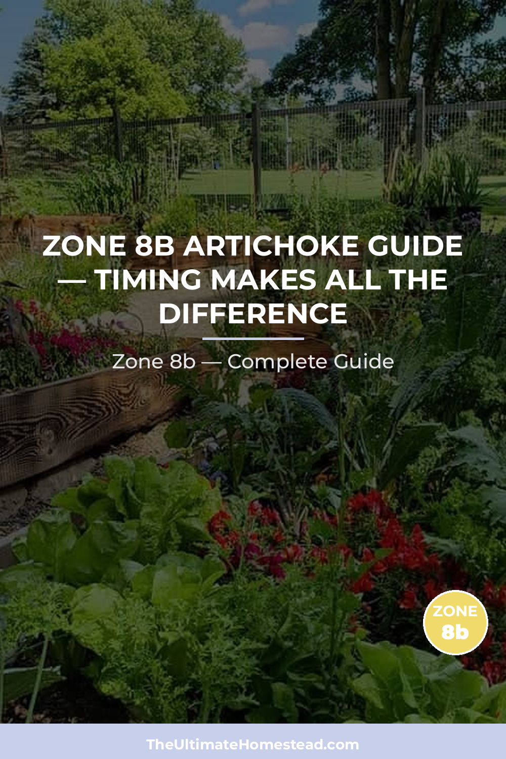 When to Plant Artichoke in Zone 8b