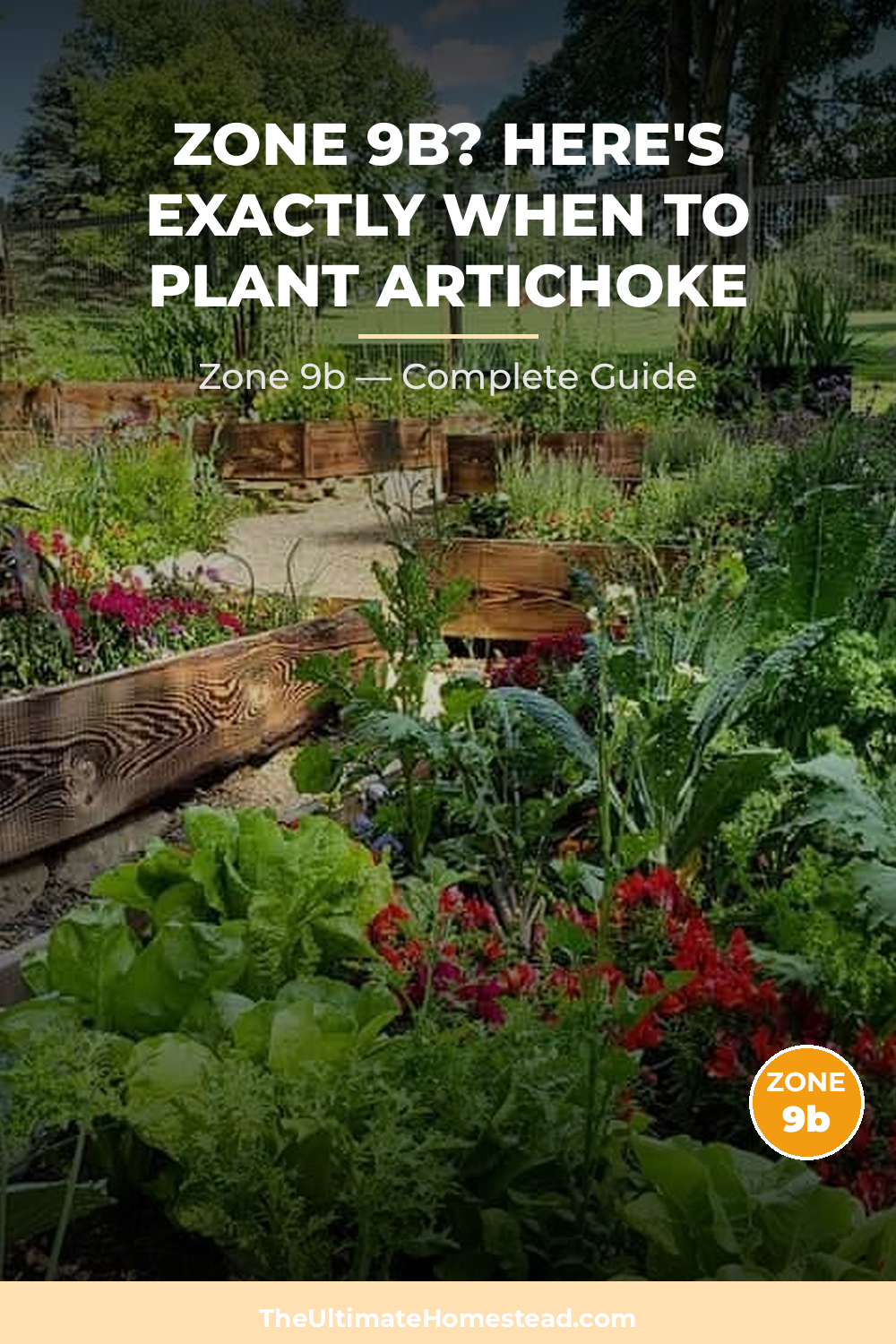 When to Plant Artichoke in Zone 9b