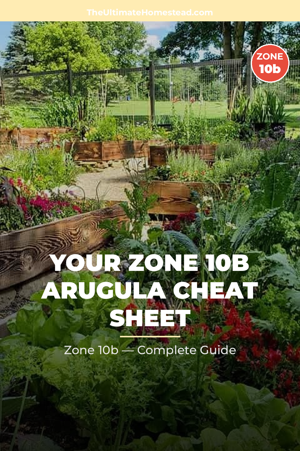 When to Plant Arugula in Zone 10b