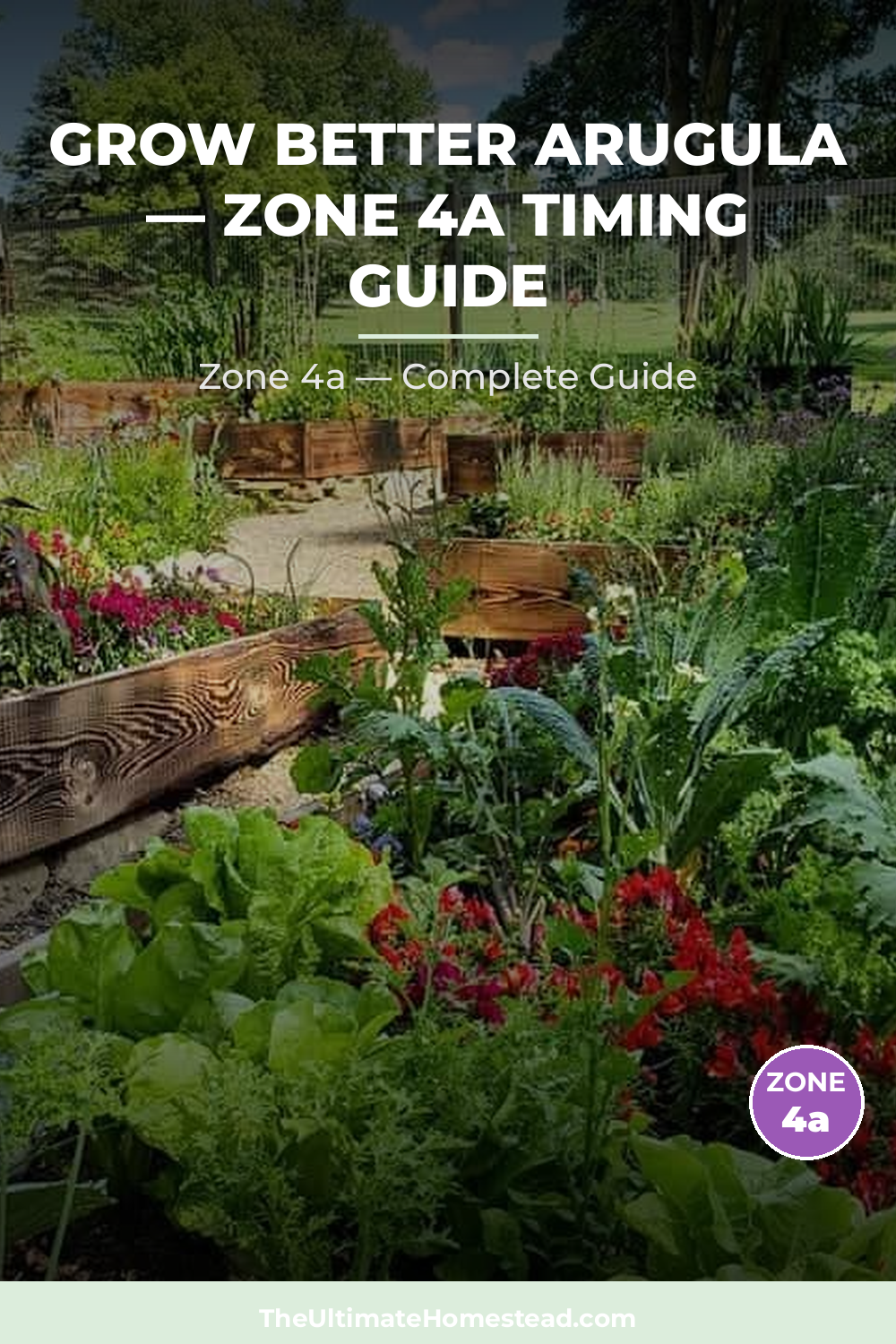 When to Plant Arugula in Zone 4a