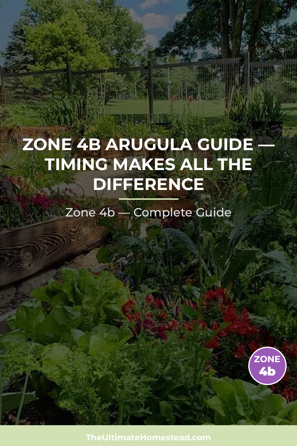 When to Plant Arugula in Zone 4b