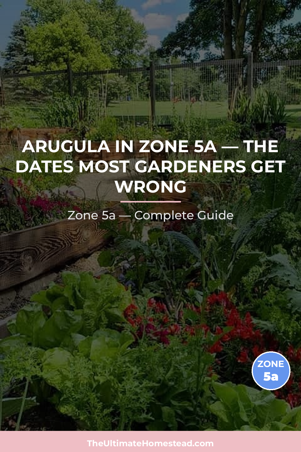 When to Plant Arugula in Zone 5a